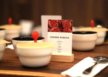 Cupping bowls beside a card reading Uganda Robusta, grade SC1800, natural processing